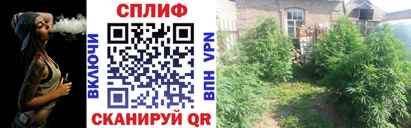 Купить Котлас Галлюциногенные грибы  Мефедрон  СК  Канабис  COCAIN  АМФ 