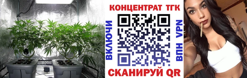 Дистиллят ТГК гашишное масло  дарнет шоп  Котлас 