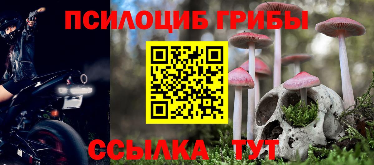 Котлас  Галлюциногенные грибы Psilocybe  Вход с VPN 