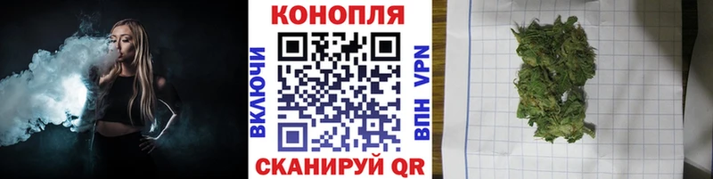цены наркотик  Котлас  Канабис гибрид 
